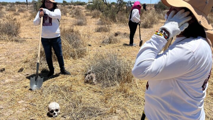 Localizan a uno de tres sanjuanenses desaparecidos en Sinaloa