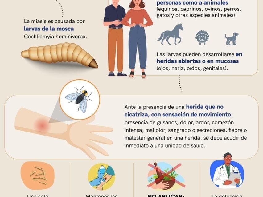 Mantiene SESA vigilancia epidemiológica ante casos de miasis humana por gusano barrenador