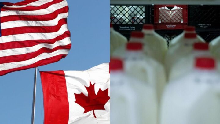 Estados Unidos impondrá aranceles a lácteos y alcohol de Canadá
