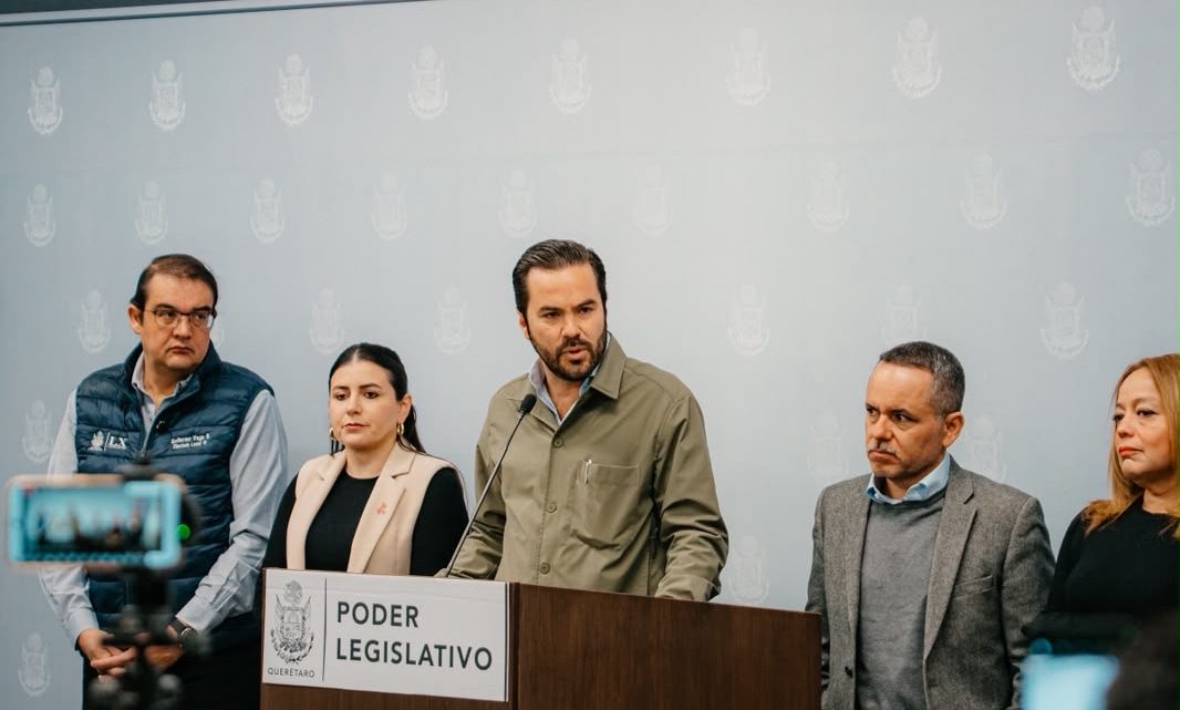 Mauricio Cárdenas y el PAN exigen que la renuncia de Guadalupe Taddei al INE no quede impune
