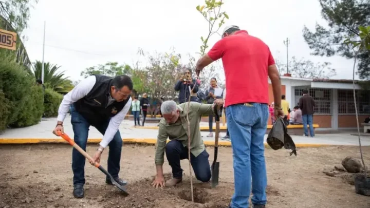 Apoyos y reforestación en Arcila impulsan acciones comunitarias