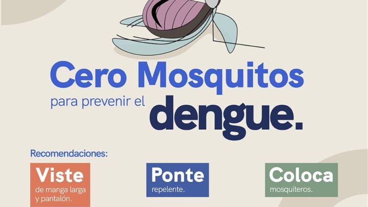 Mantiene SESA monitoreo permanente del dengue en el estado