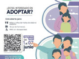 Alista DIF Estatal convocatoria de Adopciones 2026