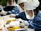 Esto dicen lo especialistas sobre una posible pandemia por Hantavirus