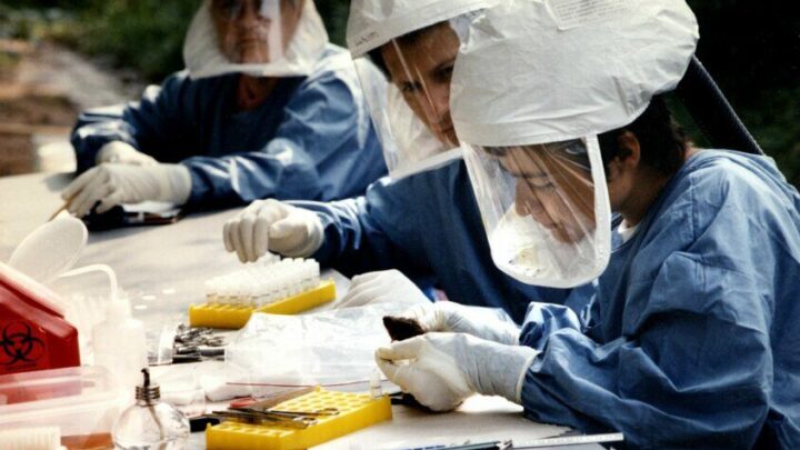 Esto dicen lo especialistas sobre una posible pandemia por Hantavirus