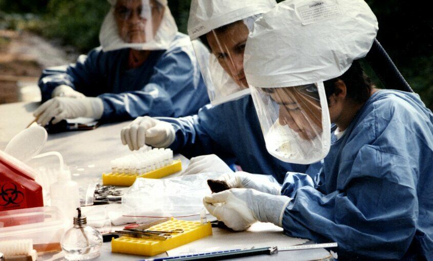 Esto dicen lo especialistas sobre una posible pandemia por Hantavirus