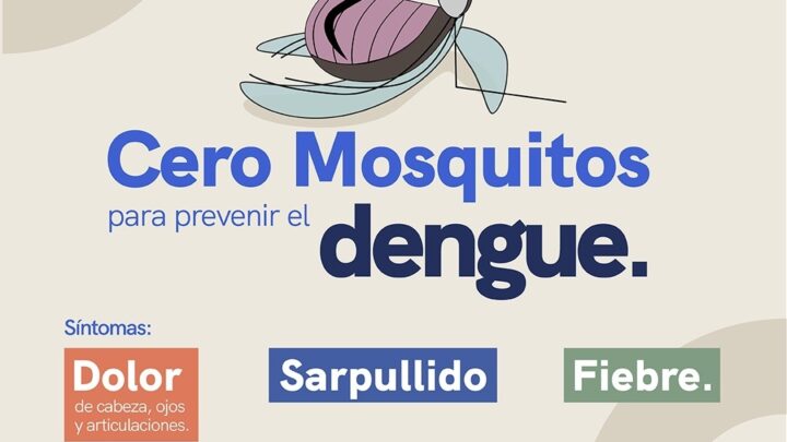 Monitorea SESA la situación epidemiológica del dengue en la entidad