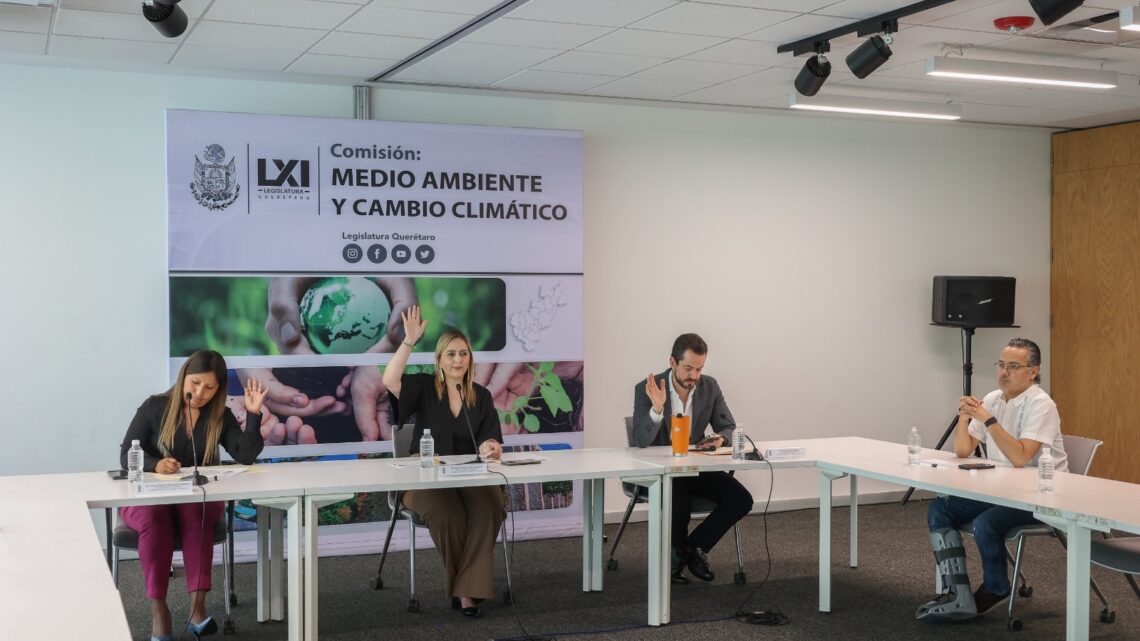 La Comisión de Medio Ambiente aprobó la regulación de los vehículos