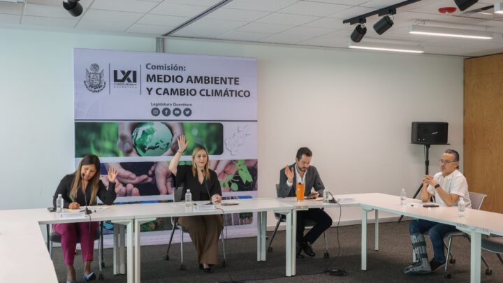 La Comisión de Medio Ambiente aprobó la regulación de los vehículos