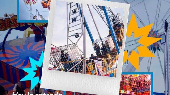 Hoy el acceso a la feria es completamente GRATUITO