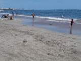 Cofepris declara cinco playas en México no aptas para vacacionar por contaminación bacteriana