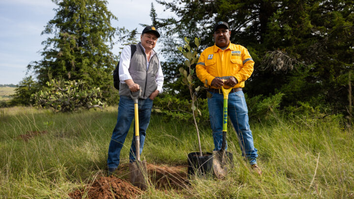 Participa Querétaro en la Jornada Nacional de Reforestación que busca restaurar los ecosistemas