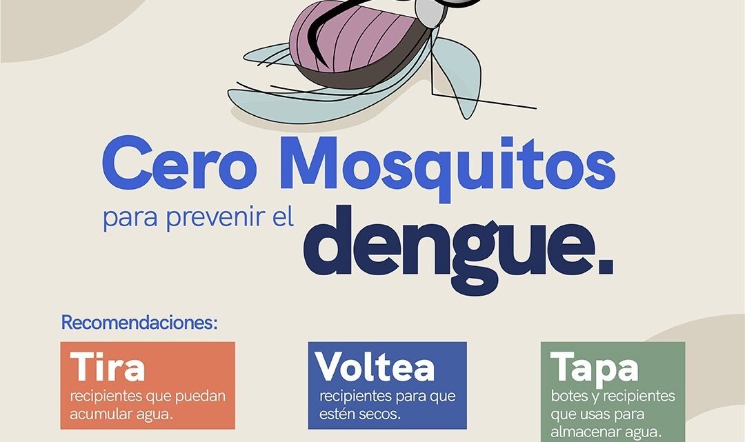 Mantiene SESA vigilancia epidemiológica y acciones de prevención del dengue