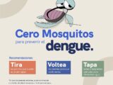 Mantiene SESA vigilancia epidemiológica y acciones de prevención del dengue