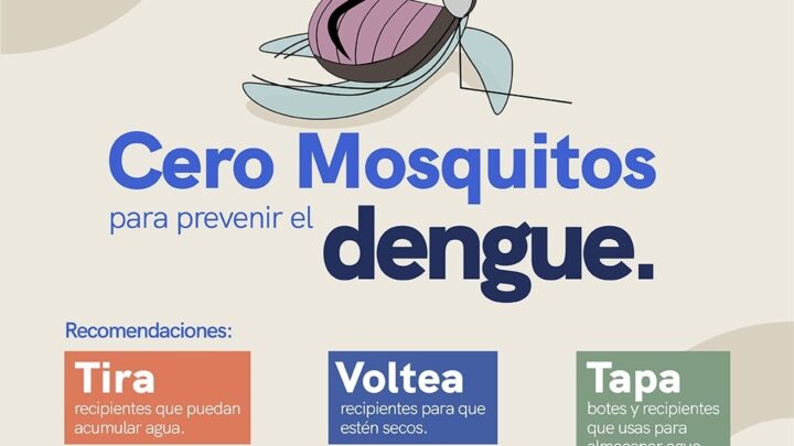 Mantiene SESA vigilancia epidemiológica y acciones de prevención del dengue