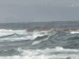 Tormenta tropical “Lala” podría convertirse en huracán mientras avanza hacia Hawái