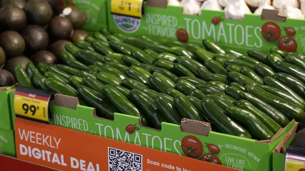 Taylor Farms retira jalapeños de Sinaloa por posible contaminación con salmonela