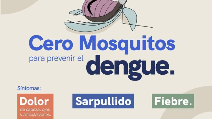 Mantiene SESA acciones de vigilancia y prevención contra el dengue