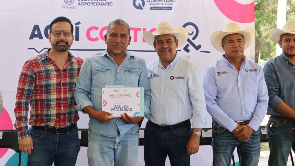 Apoya SEDEA con semilla e implementos agrícolas a productores de Colón