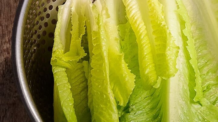 Fortalece SESA medidas para la preparación higiénica de los alimentos y la prevención de enfermedades