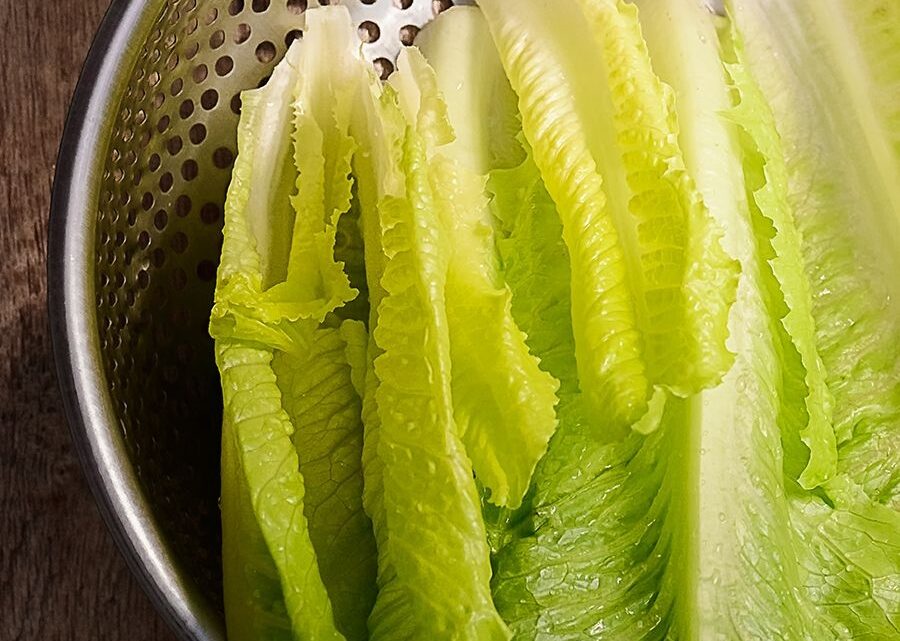 Fortalece SESA medidas para la preparación higiénica de los alimentos y la prevención de enfermedades