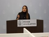 Diputada Claudia Díaz Gayou propone penas máximas contra el cártel inmobiliario y el abuso del agua en Querétaro