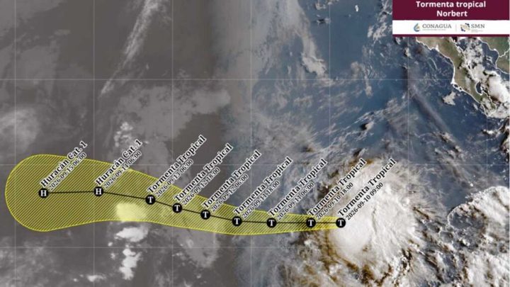 Tormenta “Norbert”: el SMN actualiza este Lunes sobre su trayectoria