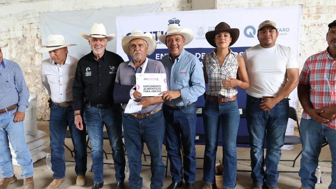 Apoya SEDEA con suplemento alimenticio a productores apícolas de la Sierra