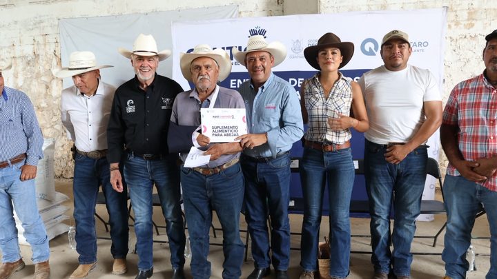 Apoya SEDEA con suplemento alimenticio a productores apícolas de la Sierra